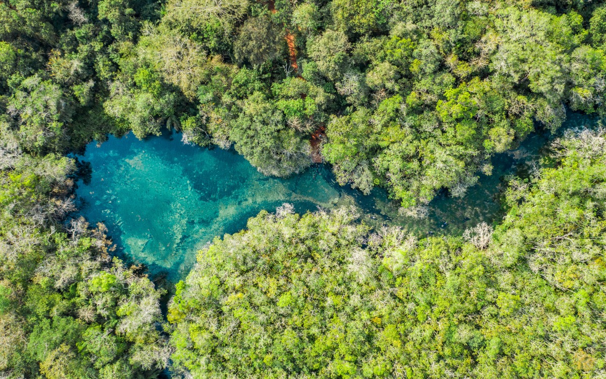 Vista aérea del río de aguas cristalinas rodeado de vegetación tropical y selva en Bonito, Brasil.