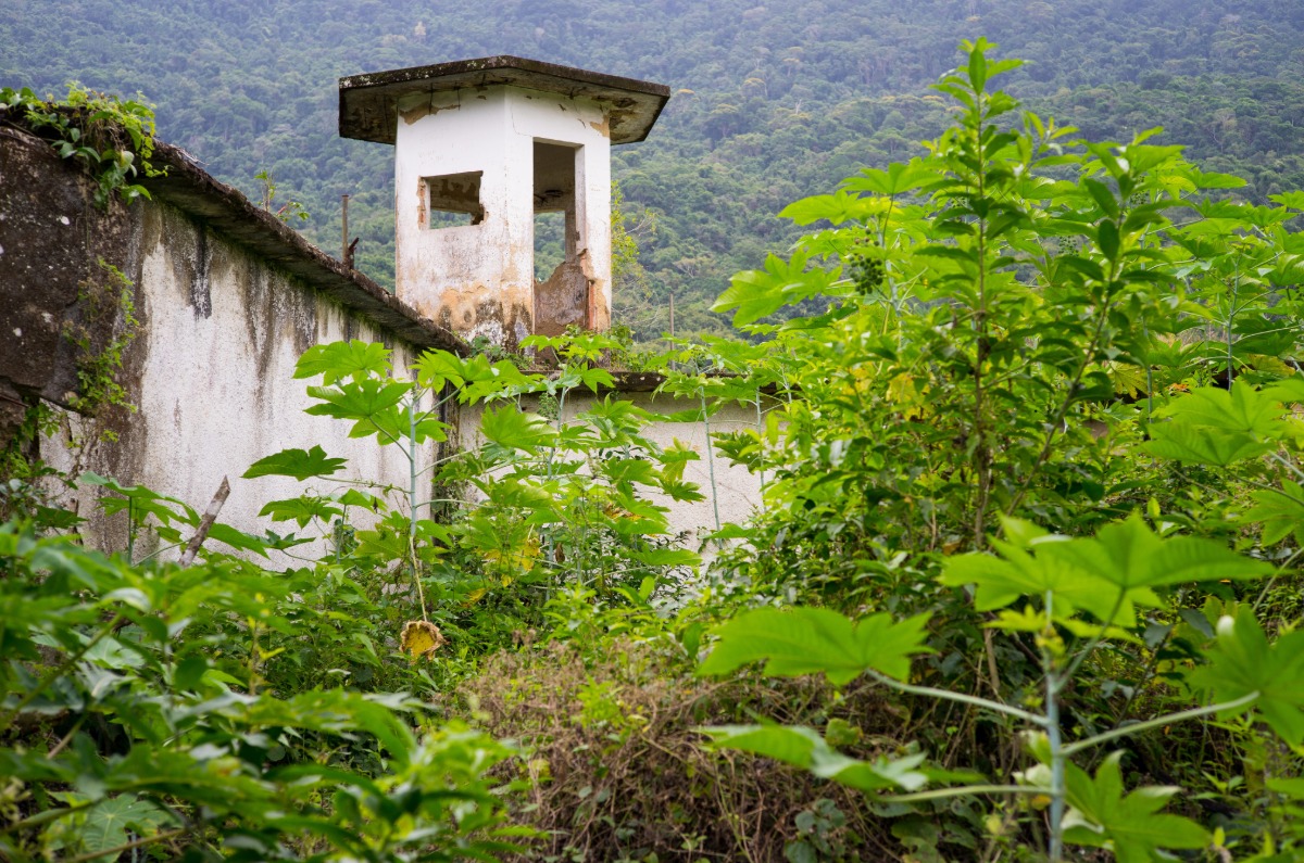 Antigua torre de vigilancia de la histórica prisión de Dois Rios cubierta por la vegetación selvática en Ilha Grande.