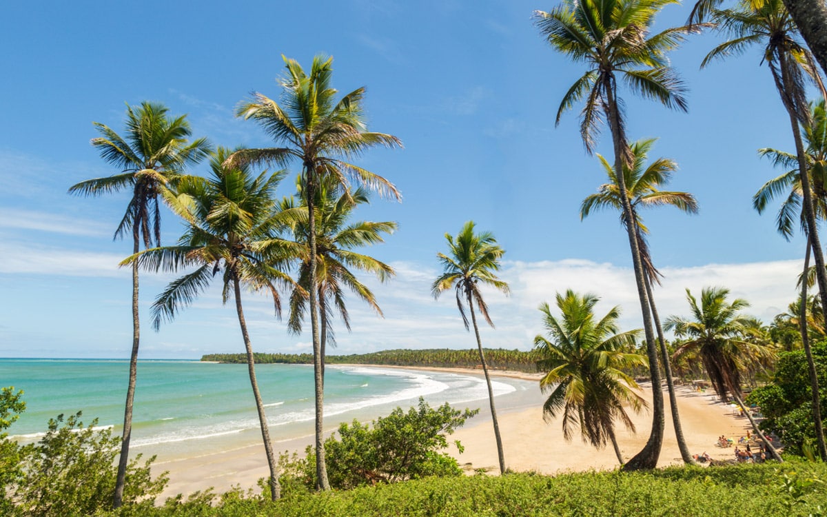Playa paradisíaca con palmeras en Ilha de Boipeba, Brasil.