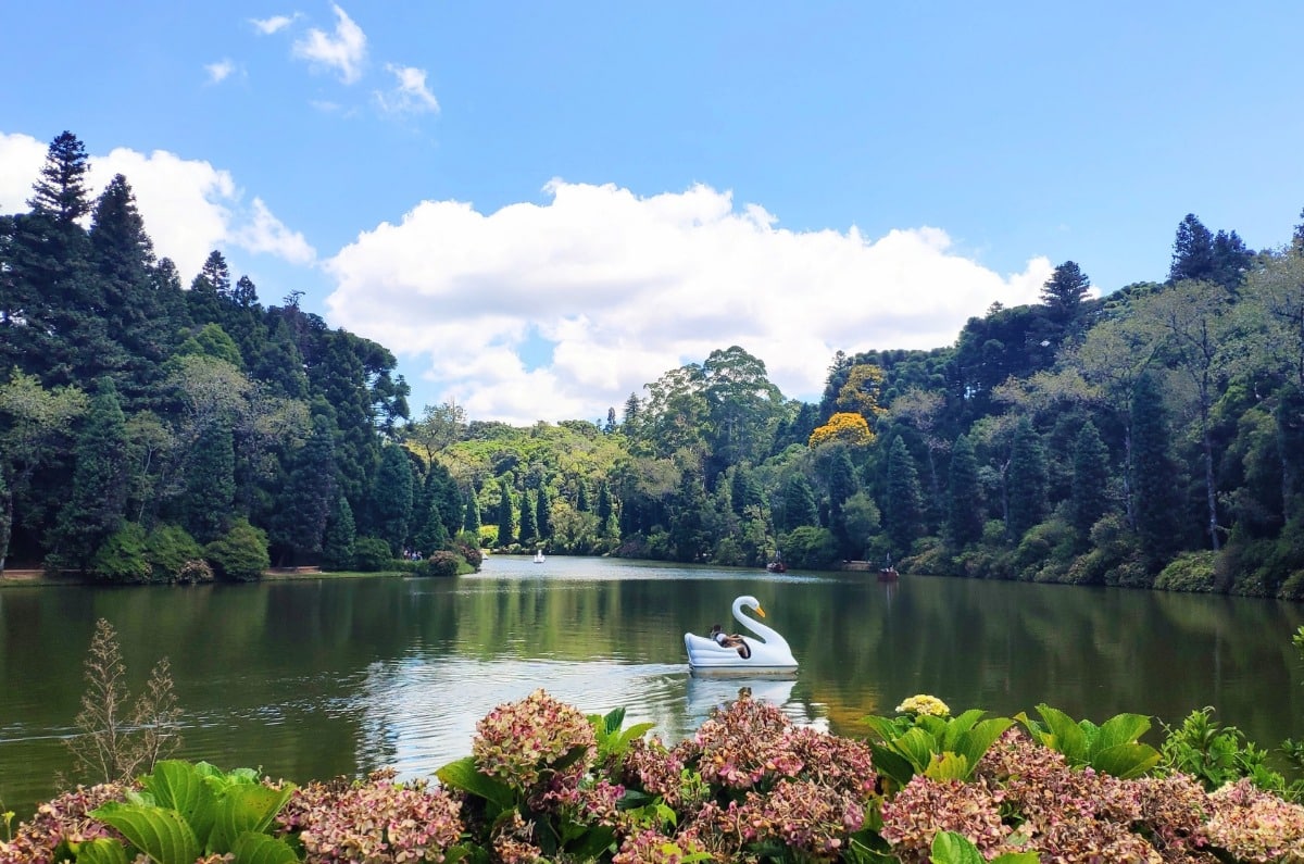 Barca a pedales con forma de cisne navegando por el Lago Negro rodeado de pinos y hortensias en Gramado, Brasil.