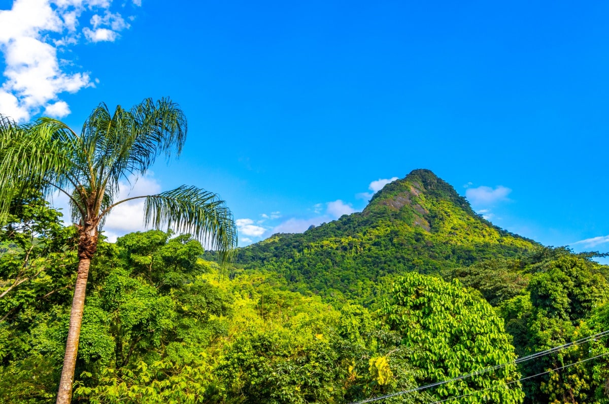 Formación rocosa del Pico do Papagaio elevándose sobre la frondosa selva atlántica de Ilha Grande, Brasil.