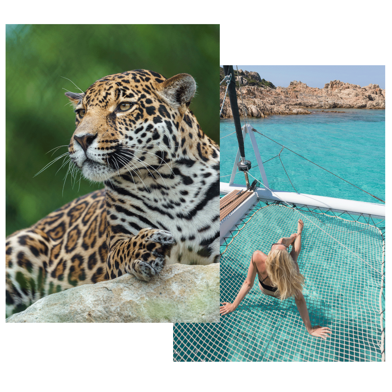 Jaguar en primer plano y viajera relajándose en catamarán sobre aguas turquesa en Brasil.