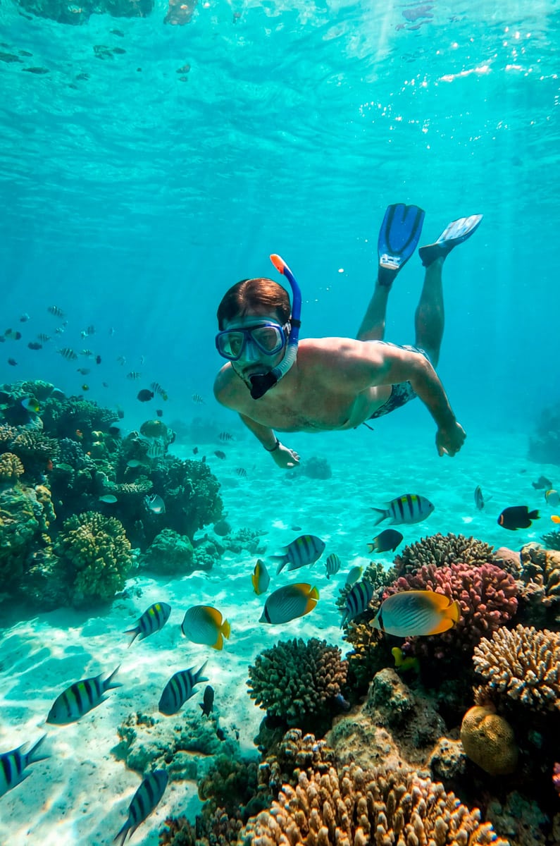 Viajero realizando snorkel en las aguas cristalinas de Fernando de Noronha, Brasil, rodeado de peces tropicales y arrecifes de coral.